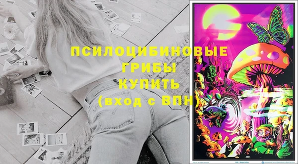 ECSTASY Медвежьегорск