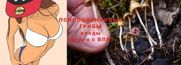 меф Медногорск