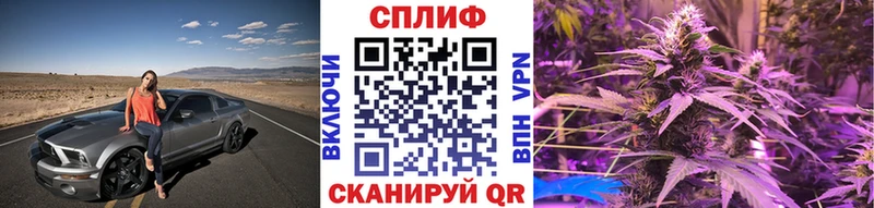 Шишки марихуана White Widow  где найти наркотики  площадка формула  Грозный 